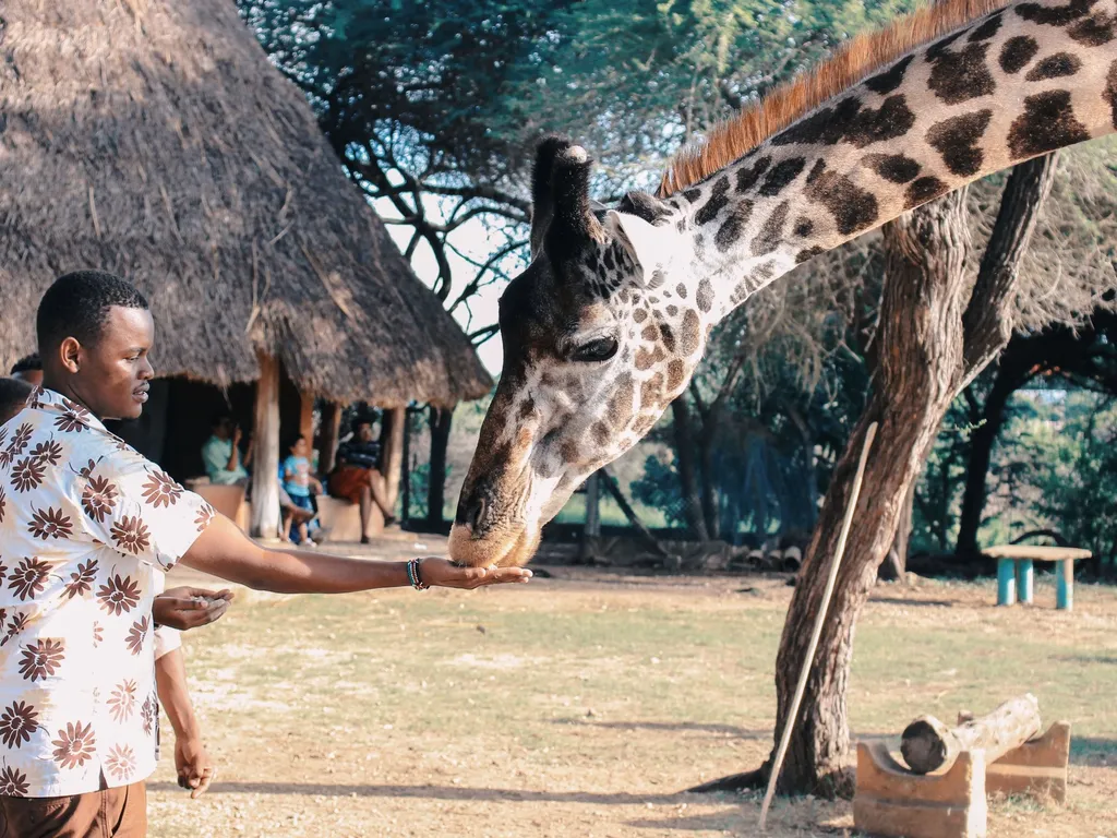 Eco-Friendly Travel Tips for Visiting Kenya