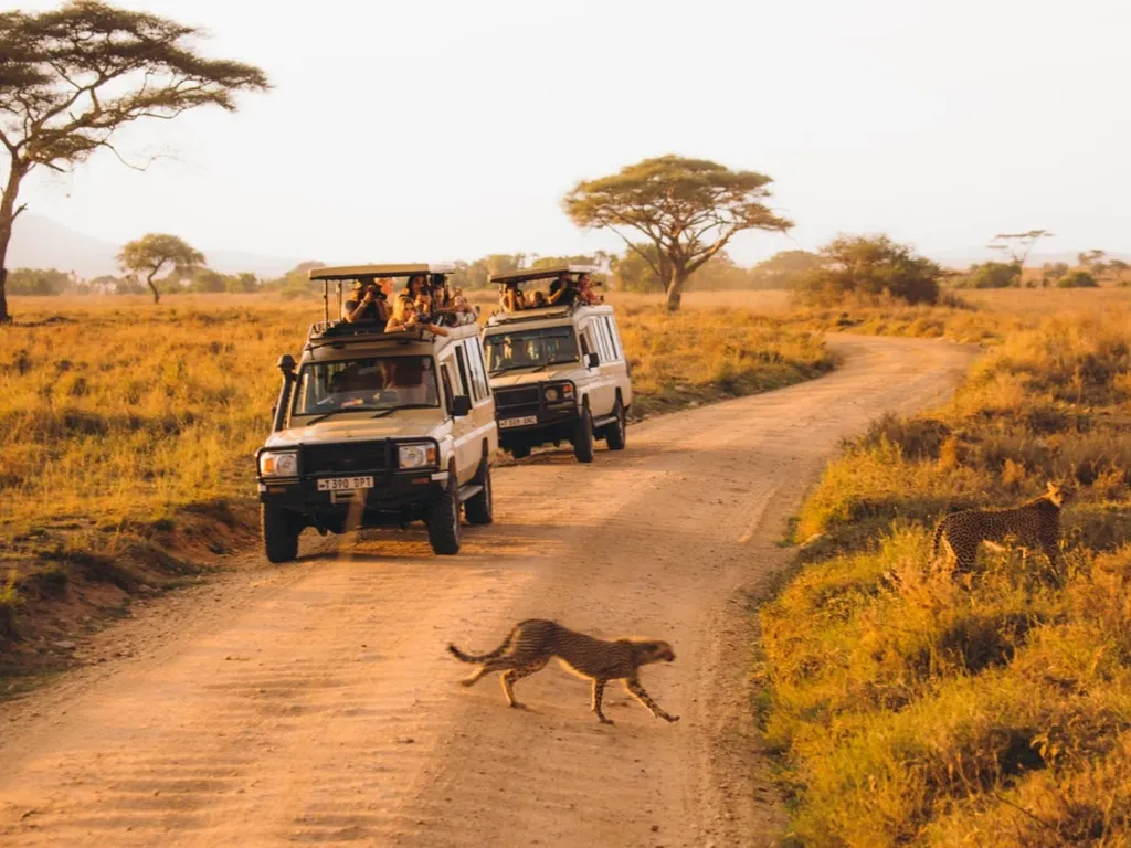 Great Migration in Kenya: The Ultimate Travel Guide