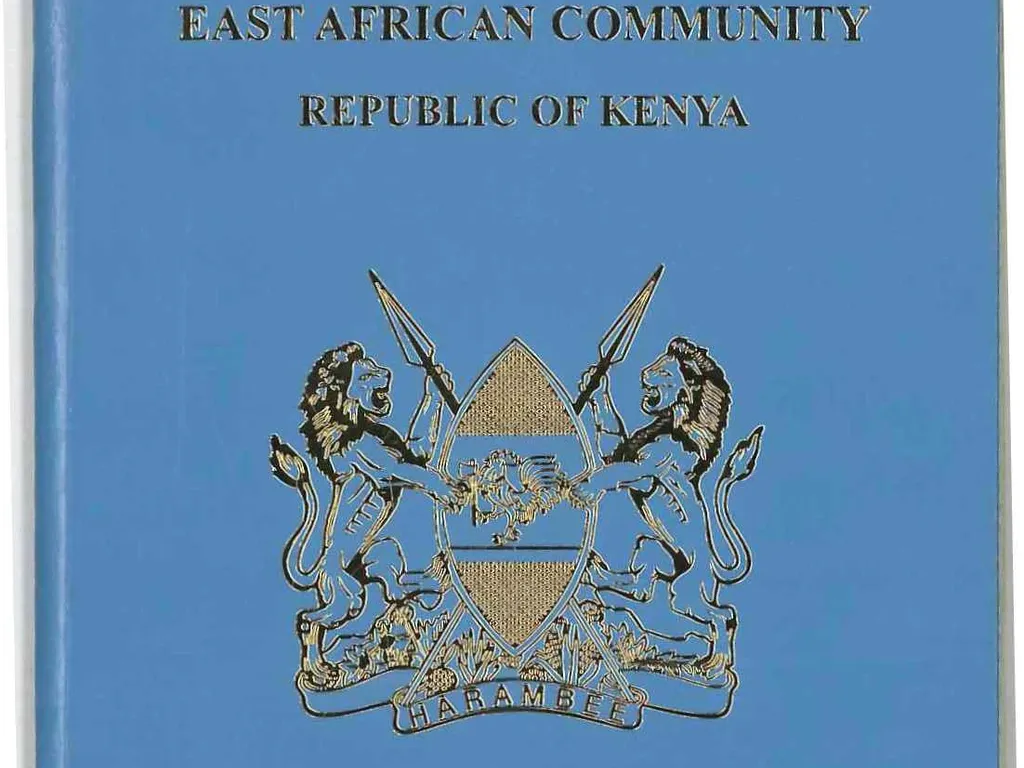 Schengen Visa Guide for Kenyans: Requirements and Tips