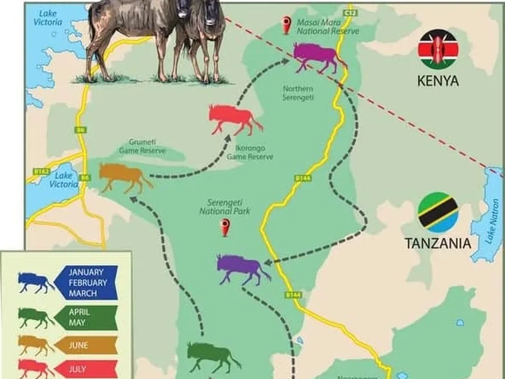 The Great Migration in Kenya: A Traveler's Guide