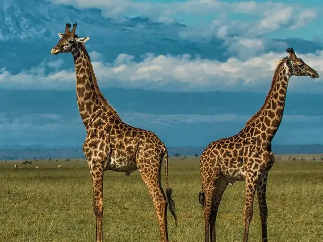 photo of amboseli