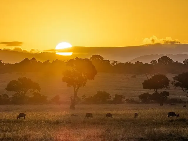 photo of maasai mara